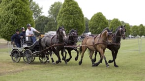 Carriage Driving shows