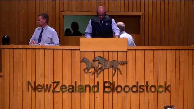NZB Standardbred National Yearling Sale 2023 - Day-1 Lots 11 to 20