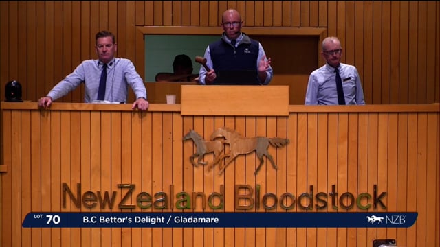 NZB Standardbred National Yearling Sale 2023 - Day-1 Lots 70 to 75