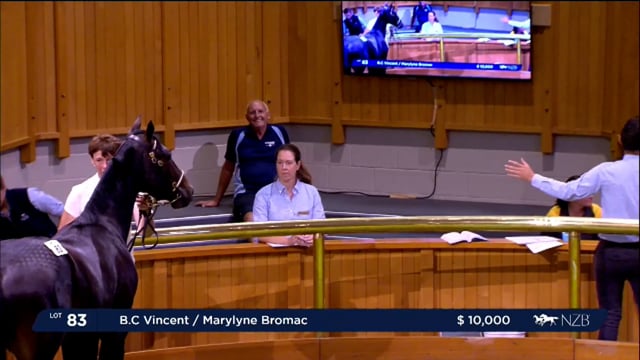 NZB Standardbred National Yearling Sale 2023 - Day-1 Lots 83 to 90