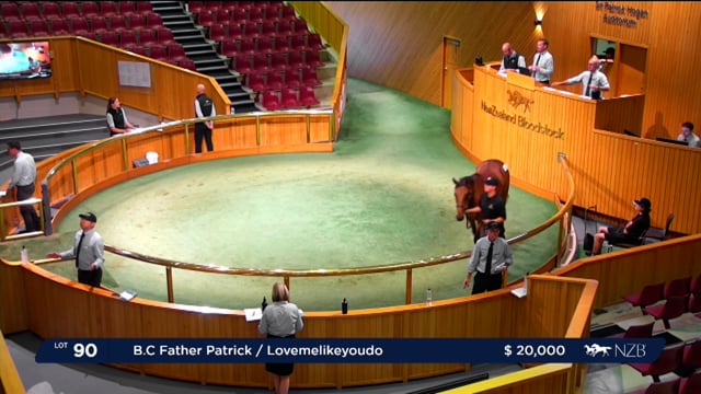 NZB Standardbred National Yearling Sale 2023 - Day-1 Lots 90 to 96