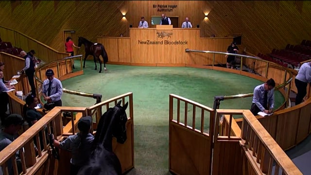 NZB Standardbred National Yearling Sale 2023 - Day-1 Lots 41 to 50