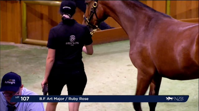NZB Standardbred National Yearling Sale 2023 - Day-1 Lots 107 to 114