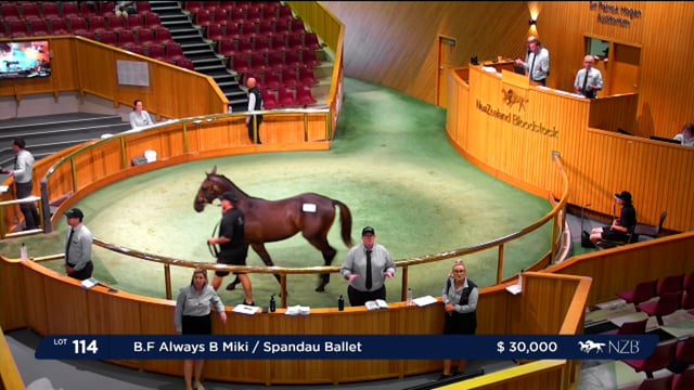 NZB Standardbred National Yearling Sale 2023 - Day-1 Lots 114 to 120