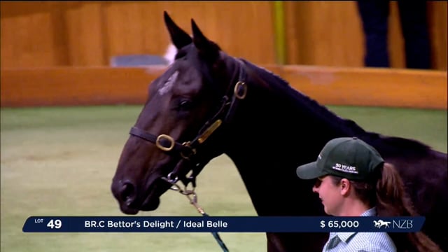 NZB Standardbred National Yearling Sale 2023 - Day-1 Lots 49 to 58