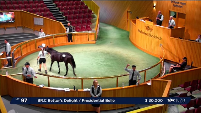 NZB Standardbred National Yearling Sale 2023 - Day-1 Lots 97 to 107