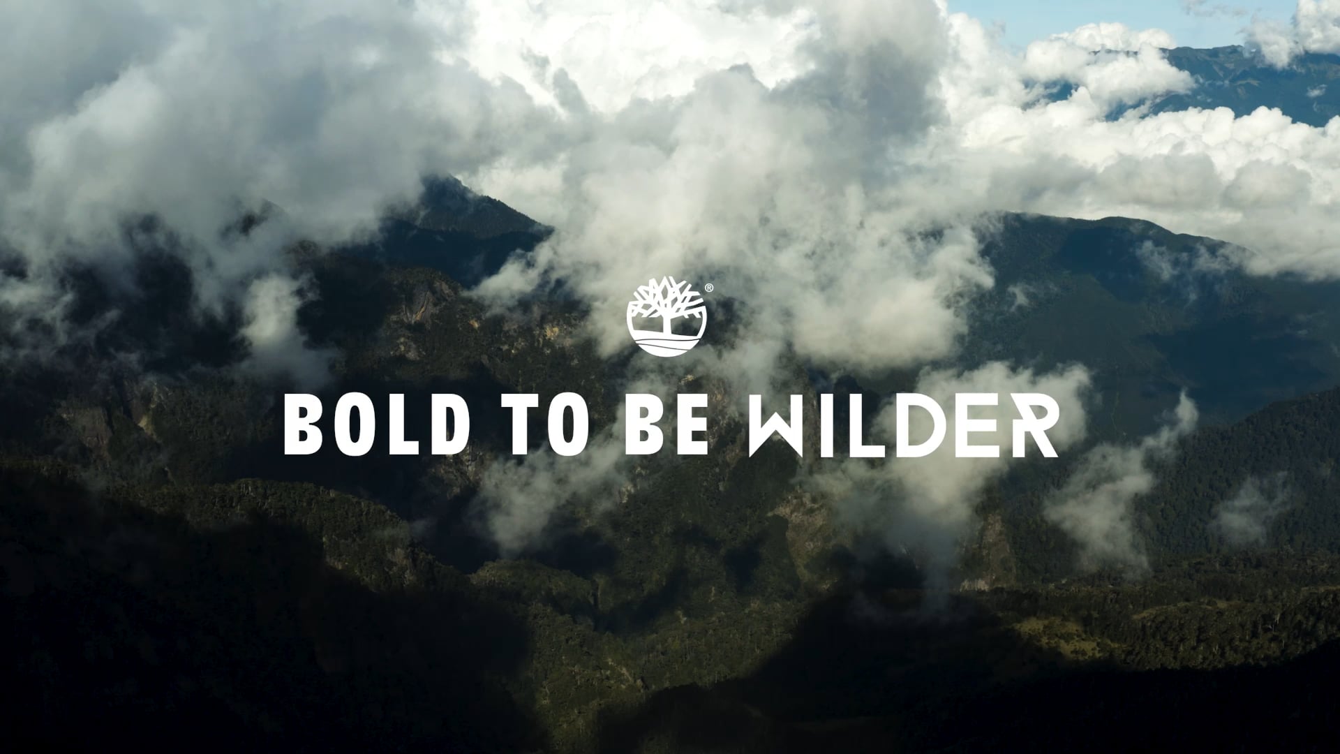 Timberland｜BOLD TO BE WILDER.mp4