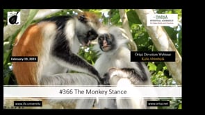 #366 The Monkey Stance.mp4
