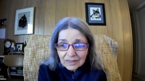 Nimo: Melting The Walls