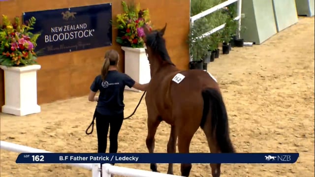 NZB Standardbred Yearling Sale 2023 - Day 2 Lots 162 to 169