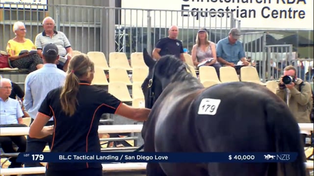 NZB Standardbred Yearling Sale 2023 - Day 2 Lots 177 to 184