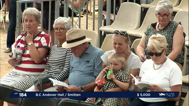 NZB Standardbred Yearling Sale 2023 - Day 2 Lots 184 to 194