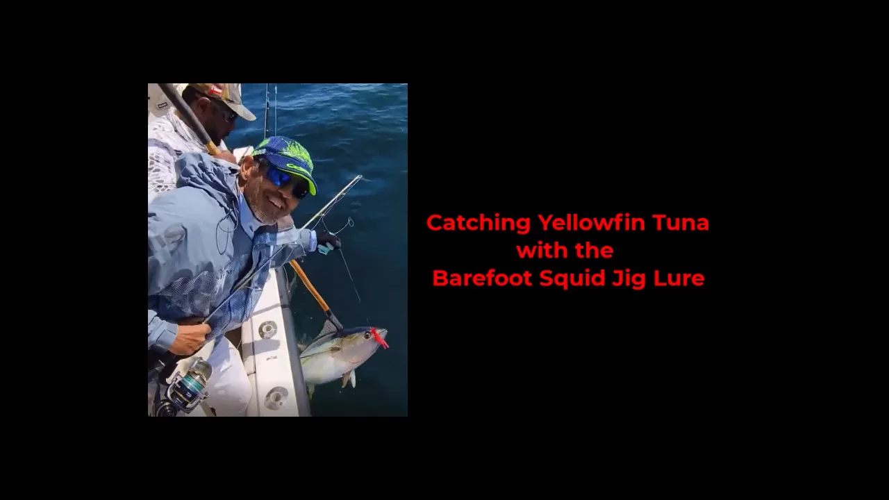 How to Land a Yellowfin Tuna using a Barefoot Squid Jig 2023 on Vimeo