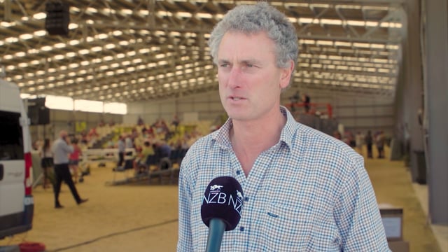 2023 National Yearling Sale | Todd Anderson