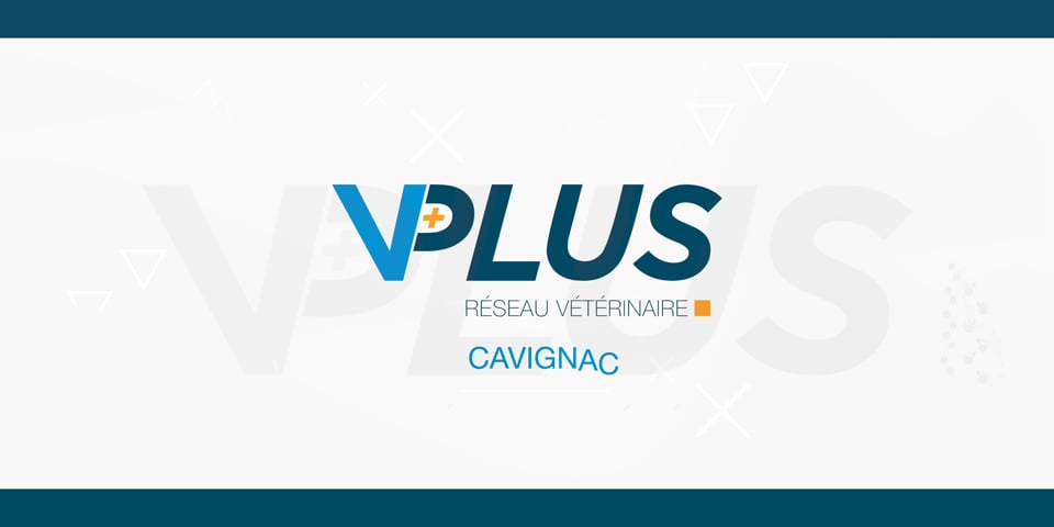 Voici un exemple d'une vidéo institutionnelle pour VPlus, réseau vétérinaire :