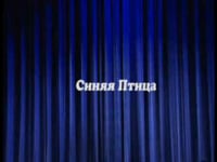 Смотреть видео