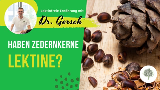 Enthalten Zedernkerne Lektine? 