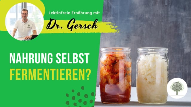 Für einen gesunden Darm - Sollte man Nahrung selbst fermentieren - oder besser nicht?