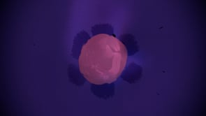 Related Embedded Video Item Thumbnail