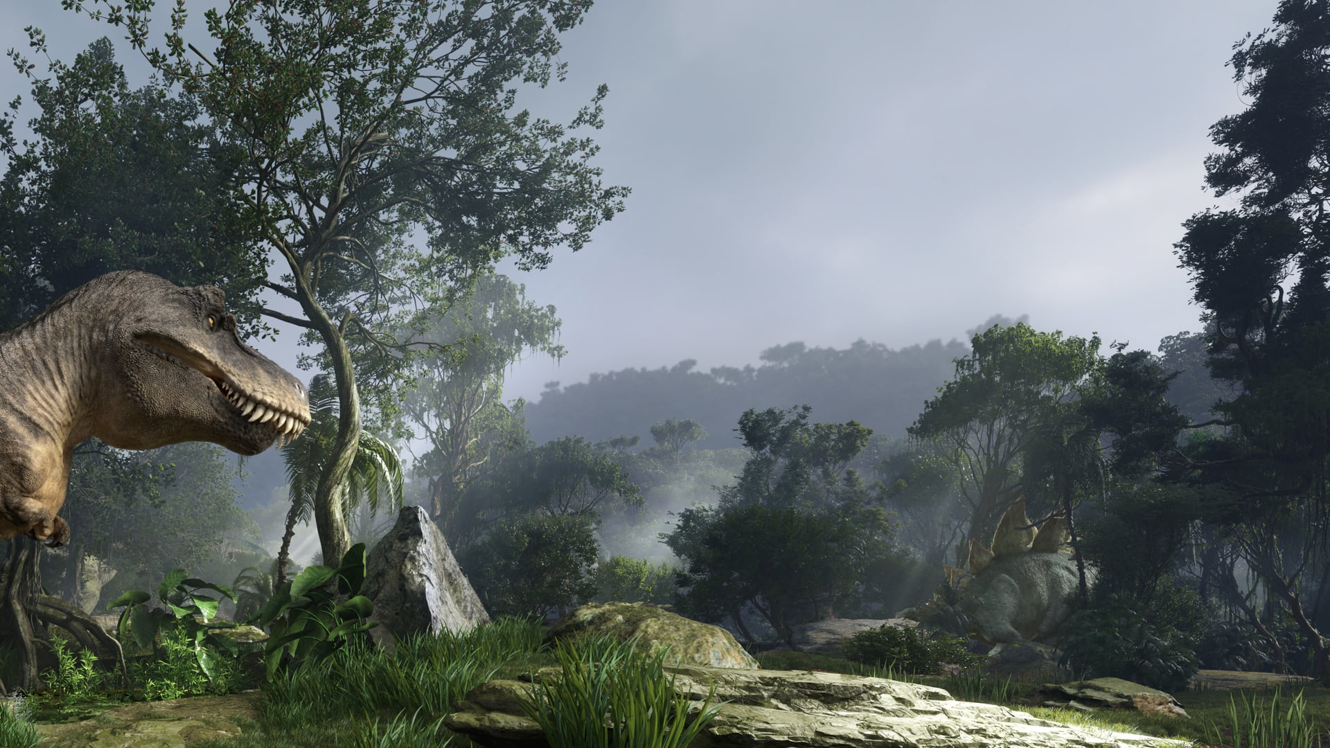 Environment Design