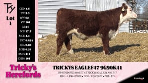 Lot #1 - TRICKYS EAGLEF47 9G90K41