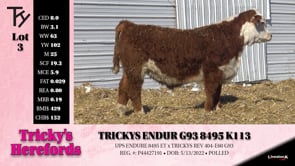Lot #3 - TRICKYS ENDUR G93 8495 K113