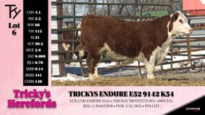 Lot #6 - TRICKYS ENDURE E52 9142 K54