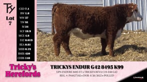 Lot #7 - TRICKYS ENDUR G42 8495 K99