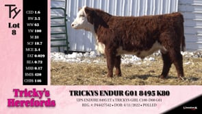 Lot #8 - TRICKYS ENDUR G01 8495 K80
