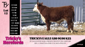 Lot #12 - TRICKYS EAGLE G80 9G90 K23