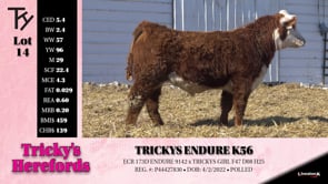 Lot #14 - TRICKYS ENDURE K56