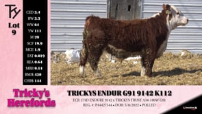 Lot #9 - TRICKYS ENDUR G91 9142 K112