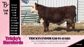 Lot #16 - TRICKYS ENDUR G36 9142 K81