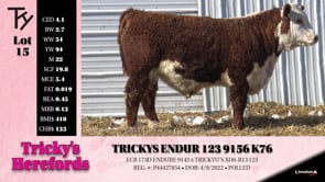 Lot #15 - TRICKYS ENDUR 123 9156 K76