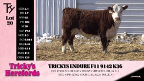 Lot #20 - TRICKYS ENDURE F11 9142 K36