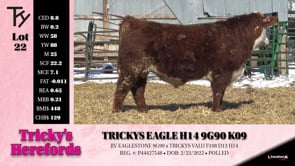 Lot #22 - TRICKYS EAGLE H14 9G90 K09