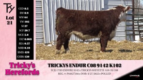 Lot #21 - TRICKYS ENDUR C08 9142 K102