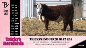 Lot #25 - TRICKYS ENDUR C51 9142 K61