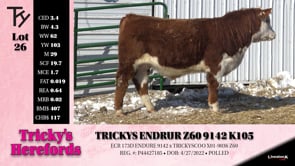 Lot #26 - TRICKYS ENDUR Z60 9142 K105