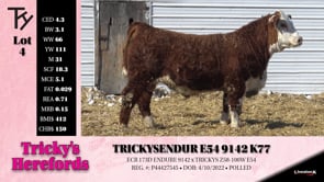 Lot #4 - TRICKYSENDUR E54 9142 K77