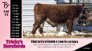 Lot #13 - TRICKYS ENDUR C100 9142 K64