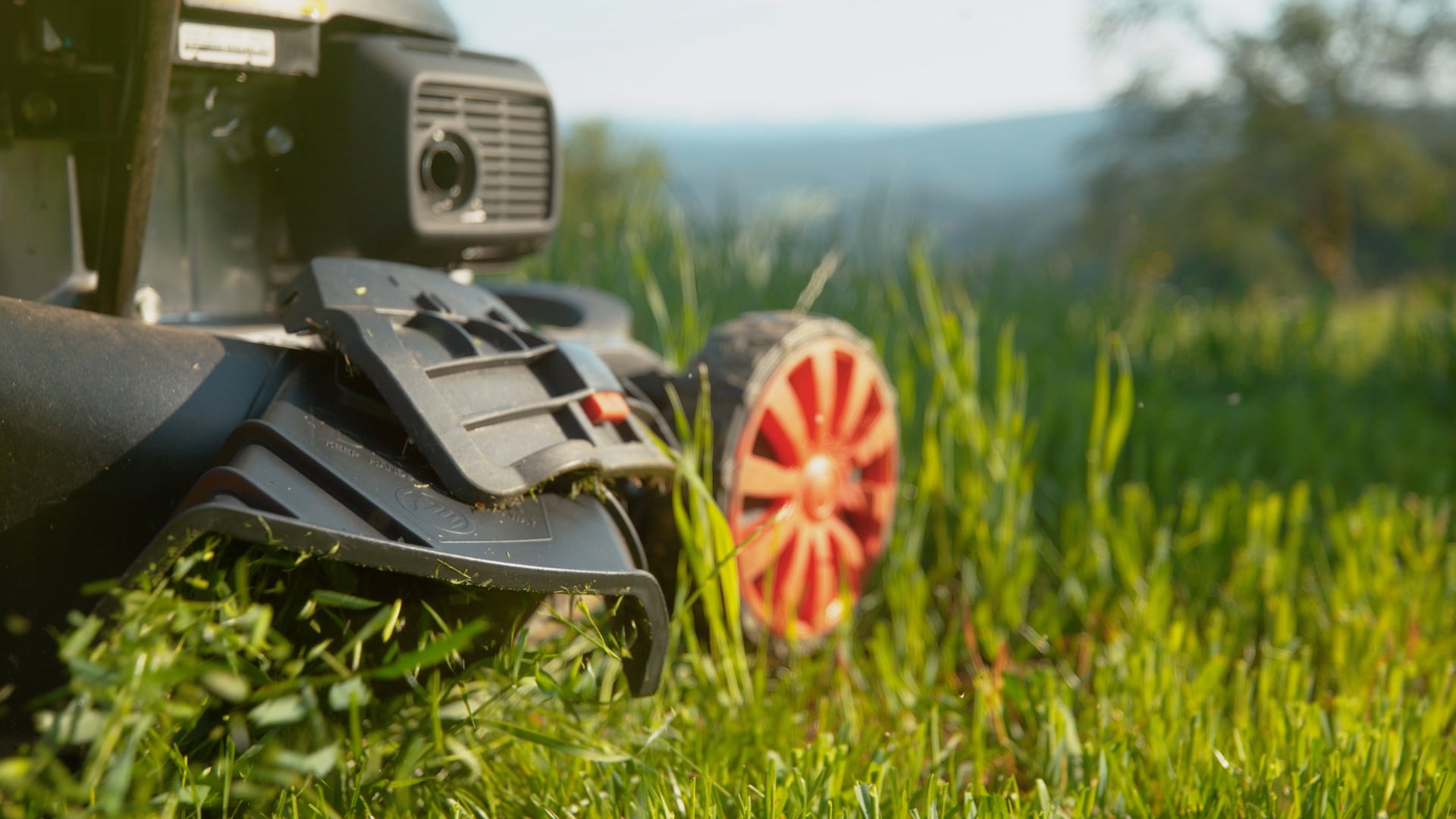 Tom's lawn 2024 mower service