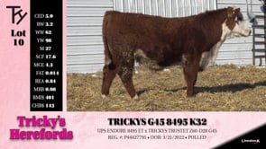 Lot #10 - TRICKYS G45 8495 K32