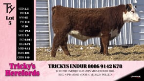 Lot #5 - TRICKYS ENDUR 8086 9142 K78