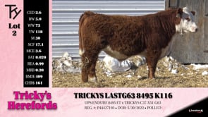 Lot #2 - TRICKYS LASTG63 8495 K116