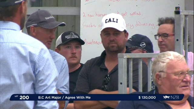 NZB Standardbred Yearling Sale 2023 - Day 3 Lots 200 to 209