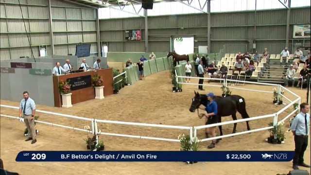 NZB Standardbred Yearling Sale 2023 - Day 3 Lots 209 to 218