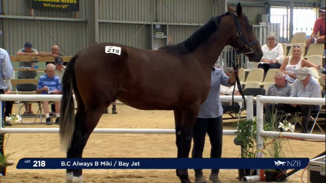 NZB Standardbred Yearling Sale 2023 - Day 3 Lots 218 to 226