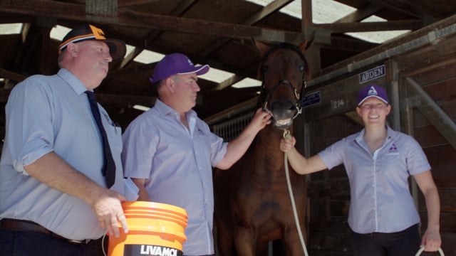 2023 National Yearling Sale | John Stiven