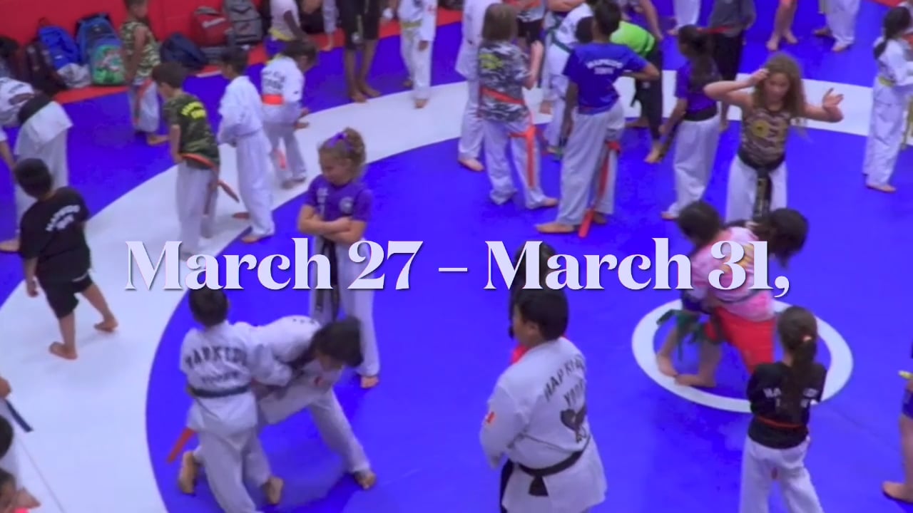 Yoons day camps 2023 ⋅ NoCode Movement News